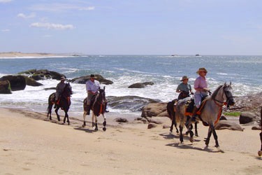 Voyage à cheval - Randonnée équestre au Sri Lanka avec Randocheval