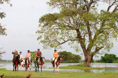 Voyage à cheval - Randonnée équestre au Sri Lanka avec Randocheval