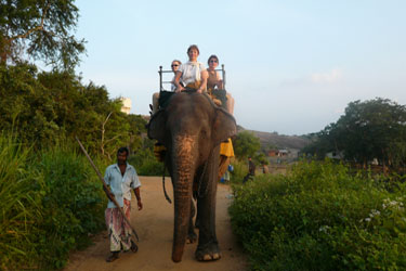 Voyage à cheval - Randonnée équestre au Sri Lanka avec Randocheval