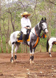 Voyage à cheval - Randonnée équestre au Sri Lanka avec Randocheval