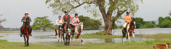 Voyage à cheval - Randonnée équestre au Sri Lanka avec Randocheval