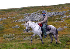 RANDOCHEVAL - Elja dans la lande