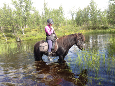 RANDOCHEVAL - Baignade en Laponie