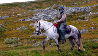 RANDOCHEVAL - Suède - Chevaux Islandais de Laponie