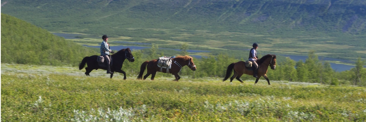 Voyage à cheval - Randonnée équestre organisée par Randocheval