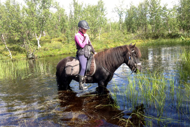 Rando Cheval - Voyage à cheval