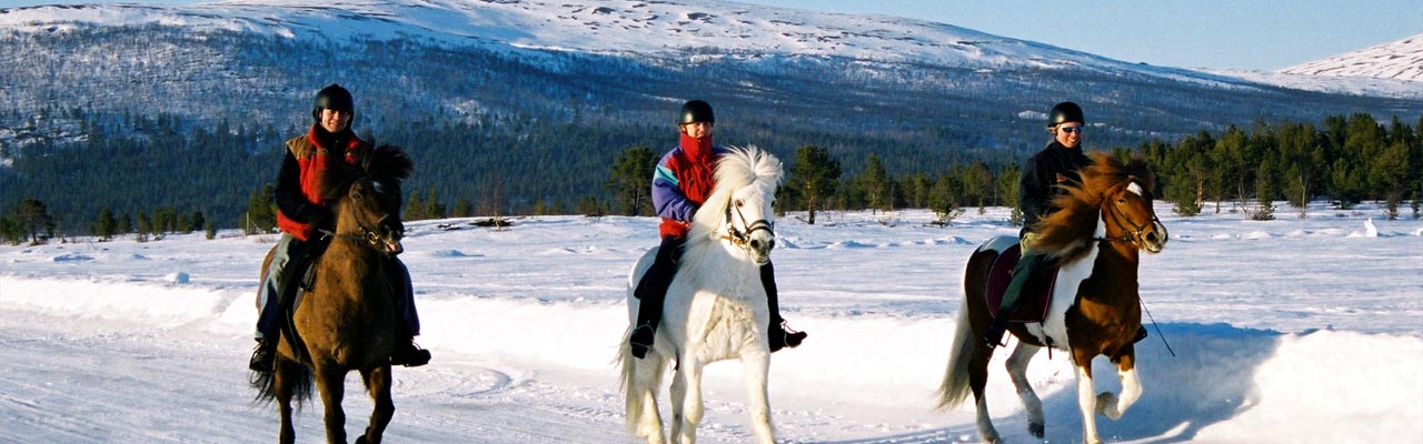 Rando Cheval - Voyage à cheval en Mongolie