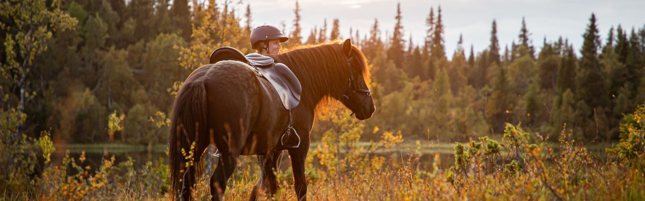 Voyage &agrave; cheval - Randonn&eacute;e &eacute;questre organis&eacute;e par Randocheval