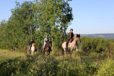 Rando Cheval - Voyage &agrave; cheval
