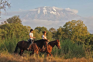 Rando Cheval - Voyage à cheval - Safari en Tanzanie / Kilimandjaro