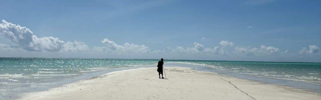 banc de sable blanc plage deserte mer turquoise ocean indien zanzibar tanzanie