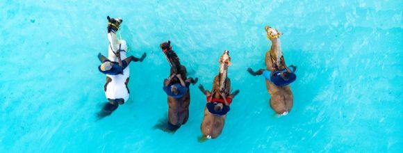 Vivez l'expérience ultime d'une baignade en totale fusion avec votre cheval dans les eaux cristallines de Zanzibar. baignade avec les chevaux nager lagon turquoise zanzibar tanzanie