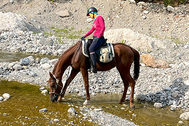 Rando Cheval - Voyage à cheval