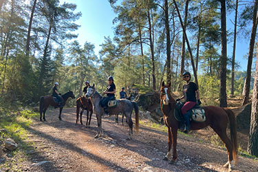 Rando Cheval - Voyage à cheval