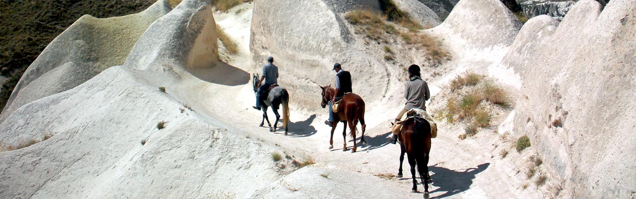 Voyage à cheval - Randonnée équestre organisée par Randocheval