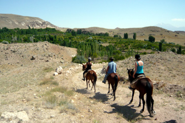 Rando Cheval - Voyage à cheval