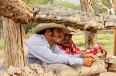 Séjour équestre et travail de bétail chevaix, vaches et bisons dans un véritable ranch d'élevage dans le Colorado aux USA/ Etats Unis