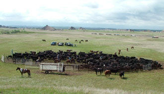 Dakota du Sud - rassemblement de chevaux : Randocheval