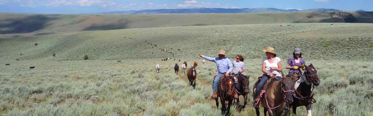 Voyage à cheval - Randonnée équestre organisée par Randocheval