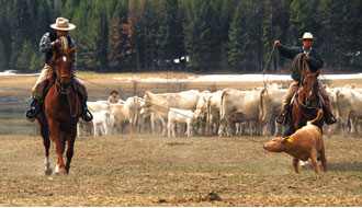Rando Cheval - Randonnée équestre et séjour en ranch dans le Montana aux USA