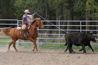 Rando Cheval - Voyage à cheval