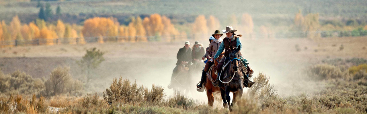 Voyages à cheval en famille par Rando Cheval