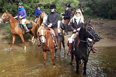 Aventure et Voyage à cheval en Uruguay - Randonnée équestre organisée par Randocheval