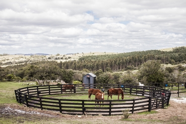 Aventure et Voyage à cheval en Uruguay - Randonnée équestre organisée par Randocheval