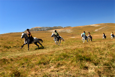 Rando Cheval - Voyage à cheval