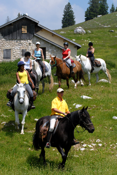 Vercors à cheval - Eric Minodier