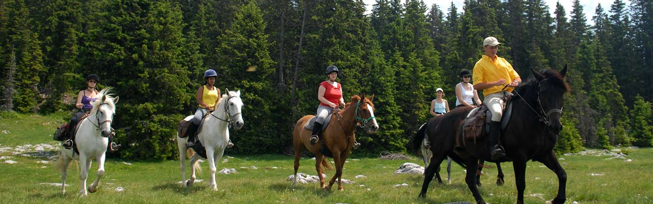 Voyage à cheval - Randonnée équestre organisée par Randocheval