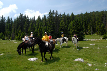 Rando Cheval - Voyage à cheval