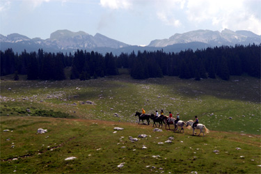 Rando Cheval - Voyage à cheval