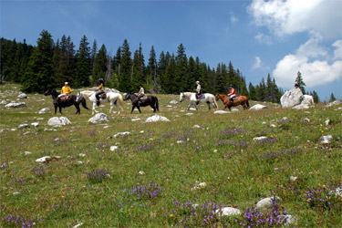 Rando Cheval - Voyage à cheval