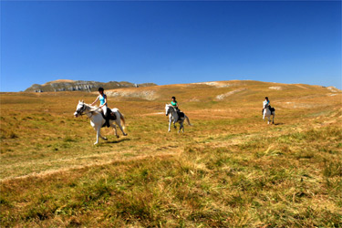 Rando Cheval - Voyage à cheval