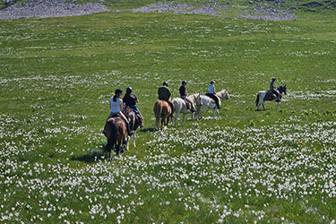 Rando Cheval - Voyage &agrave; cheval
