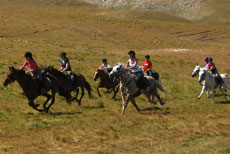 Randonnée équestre en Corse - randonnée équestre dans le Vercors - Randocheval / Absolu Voyages