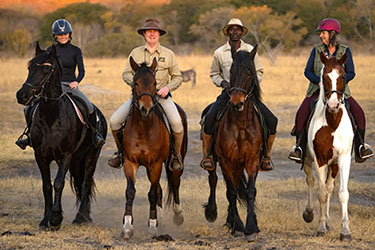 Safari cheval zimbabwe