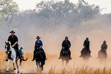 Safari cheval zimbabwe