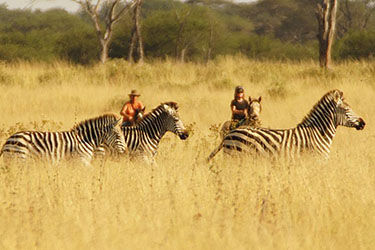 Safari cheval zimbabwe