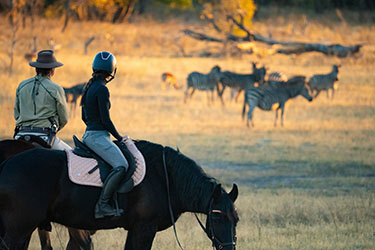 Safari cheval zimbabwe