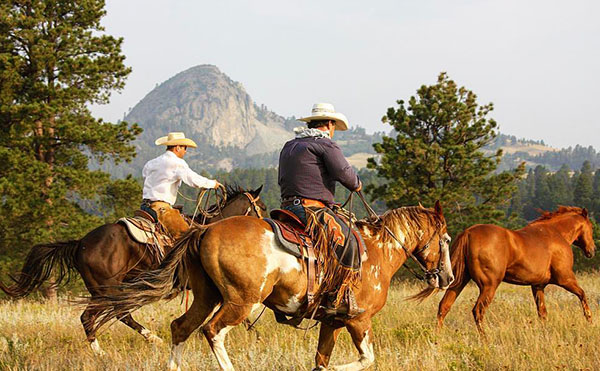 Voyage à cheval - Immersion cowboy dans un ranch des Blackhills