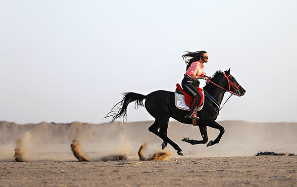 Voyage à cheval - France : Rando à cheval entre Nil et Mer Rouge, sur la terre des Pharaons
