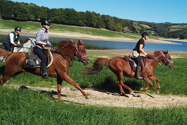 Voyage à cheval - Randonnée très sportive - Tour du Morvan ou de la Lozère en une semaine