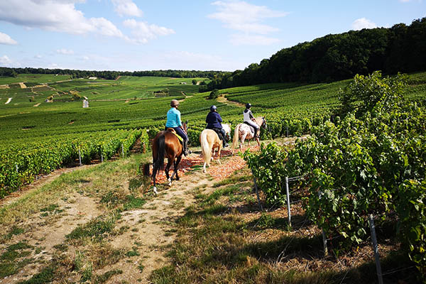 Voyage à cheval - Randonnée à cheval dans les vignobles