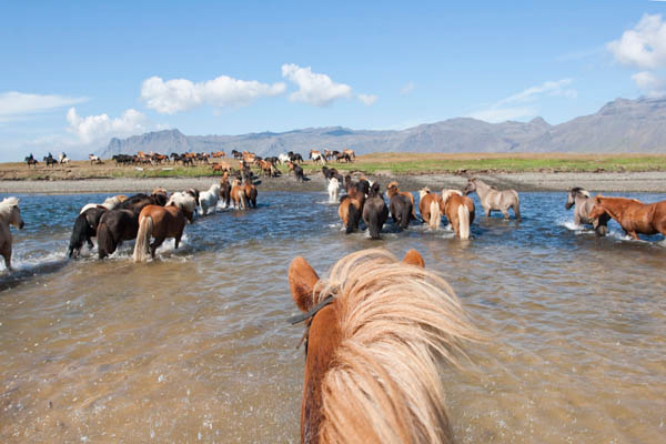 Randonnées équestres et expéditions à cheval en Islande - RANDO CHEVAL