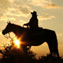 Equitation western - Rando cheval aventure voyage