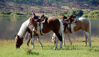 Séjour équitation de travail et monte western dans un véritable ranch d'élevage aux Etats Unis dans l'état de l'Idaho